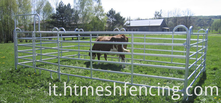 Prezzo di fabbrica I pannelli di recinzione per cavalli usati galvanizzati